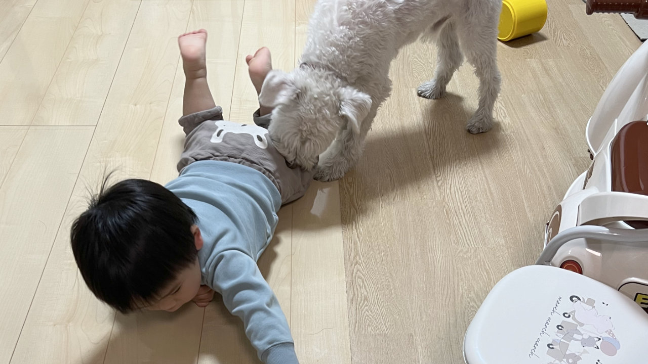 息子と愛犬